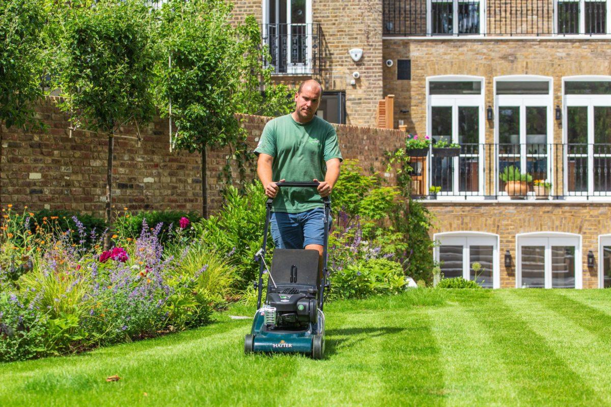 Garden Maintenance for a Tidy Outdoor Space